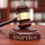 Adoption Attorney in Fort Myers